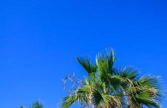 Batis Sea View - Foto 42