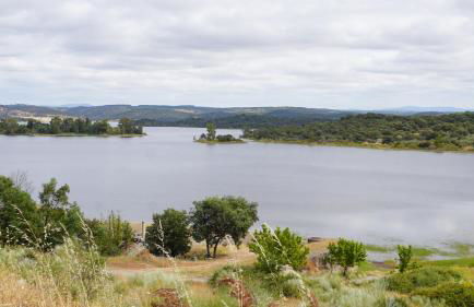 9, Cimo da Aldeia - Foto 25