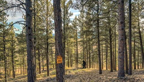 Bigfoot Lodge - Foto 2