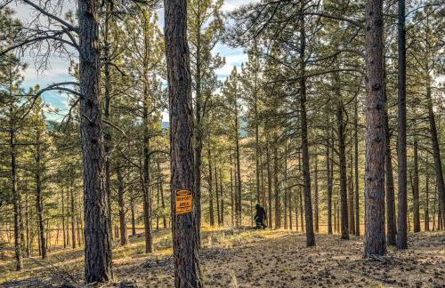 Bigfoot Lodge - Foto 2