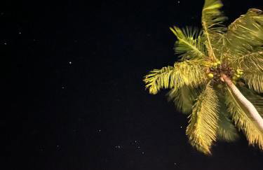 Casa Palma - Foto 41