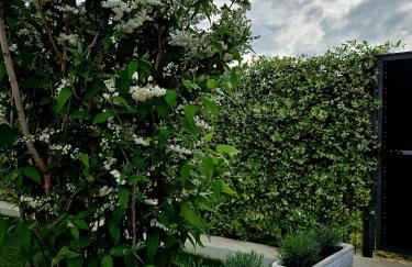 Perla No1 - Photo 32