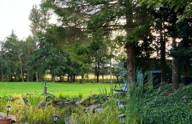 Scardroy Alford - Photo 24