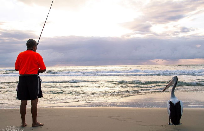 Chidori Court - Foto 32