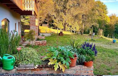 Sunhill Appartments, klimatisiert - Foto 2