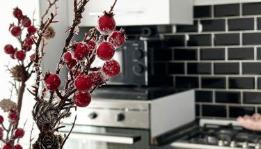 Family Place Fiumicino - Foto 1, stove