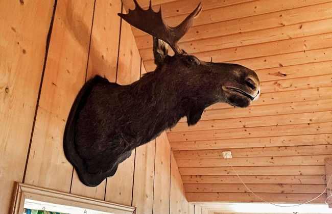 Lakeview Cottage Retreat-by Traum - Foto 9