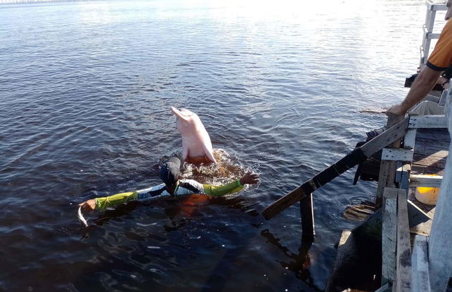 Amazon River Tour - Photo 2