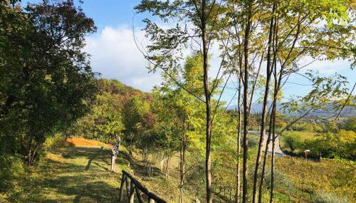 Agriturismo Ca' Cristane - Foto 3