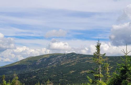 Apartament Nina - Foto 68