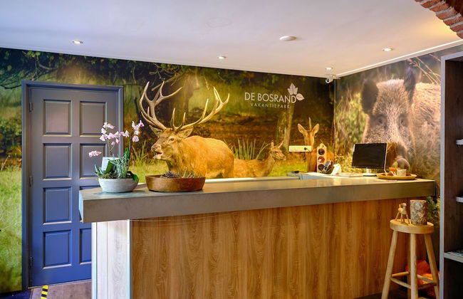 Vakantiepark De Bosrand - Foto 4