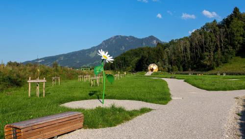 Der Bienenkorb - Foto 3