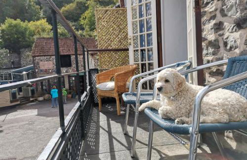 Harbour House Apartment Porlock Weir - Foto 28