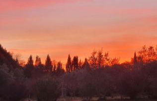 Les cabanons de l'Oliveraie - Photo 7