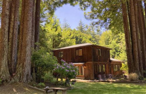 Serenity Grove - Foto 1