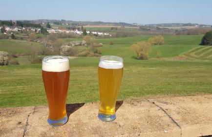 Apartment Naturblick Hollywood - Foto 25