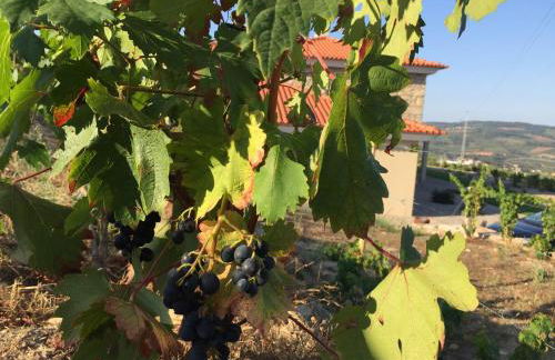 Quinta BEMBOA Turismo Espaço Rural - Foto 35