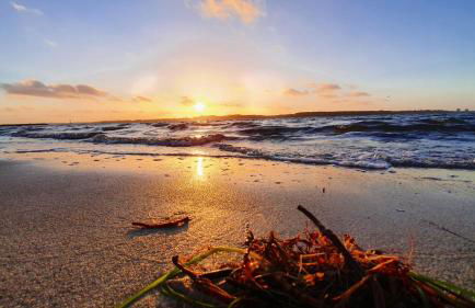 Ferienwohnung Nordlicht Laboe - Foto 47