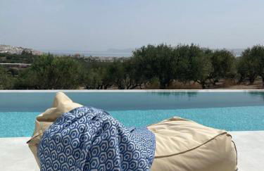 Villa Thea sitia - Foto 69