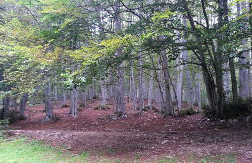 Casa ai piedi del monte Camicia - Photo 25