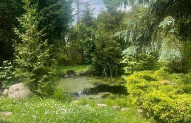 Apartament Skórcz Kociewie Pomorze Gdańskie Agroturystyka - Foto 28