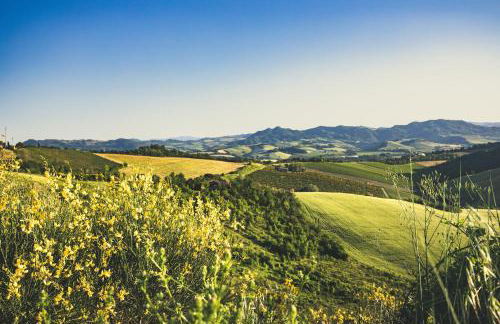 Agriturismo La Querciola - Foto 22