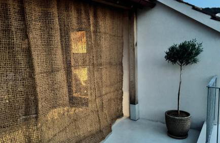 Dolce Terra - Photo 14