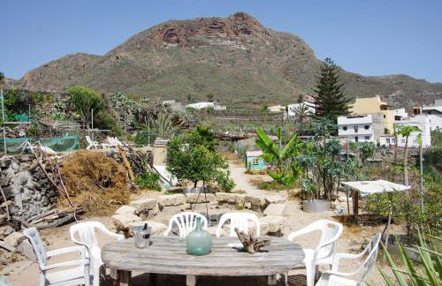 Finca Patio Canario - Foto 6