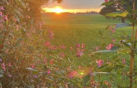 Charming Apartment near Lake - Foto 14