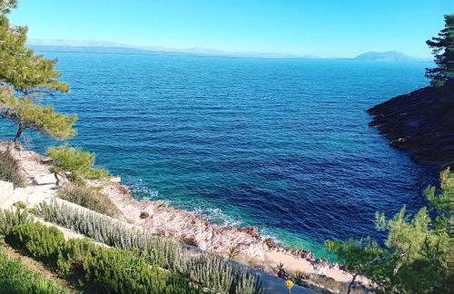 Modern Robinson Veli Bare - Photo 39