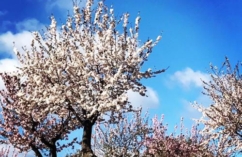 Casa Rural La Antigua - Foto 16