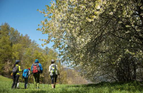 Abadía de Montenartró Apartamentos - Foto 61