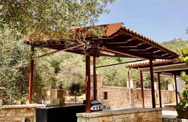 Oliveto e mare - Foto 10