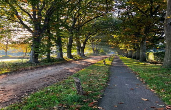 Holiday Park Escape in Drenthe - Photo 24
