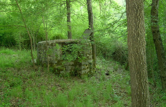 Agriturismo le Cammarose - Photo 29