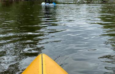 Appartement Gensungen - Foto 19