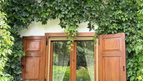 cottage lavanda e rosmarino - Foto 2, Garden