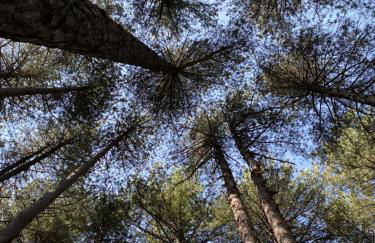 Etna Charming Apartment - Foto 42