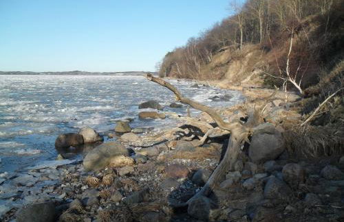 Ferienwohnungen Müller - Foto 59