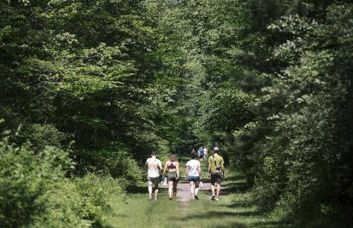 Cozy Cottage on a Private Farm Nestled Among the Southern Catskill Mountains in Woodridge, New York - Foto 21