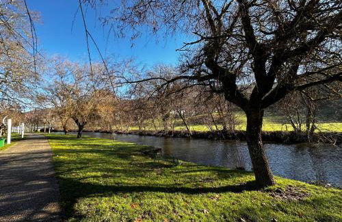 La Maison aux Volets Bleus 3ème Étage - Photo 25
