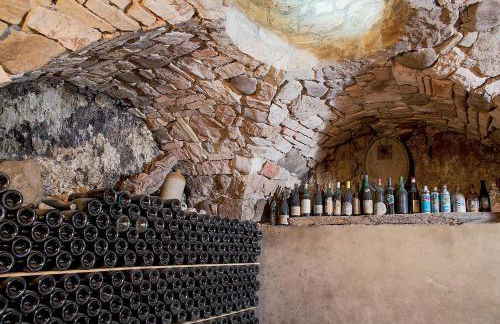 Azienda Agricola Campion - Foto 40