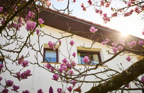 Casa Rural La Palmera - Landetxea - Foto 77
