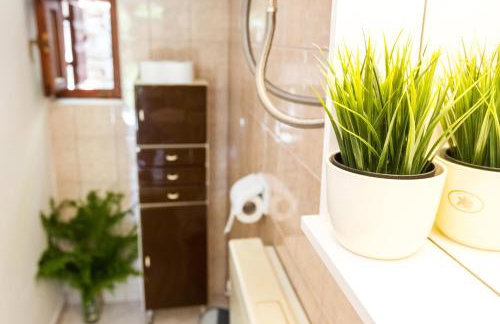 Forest Escape - Foto 42