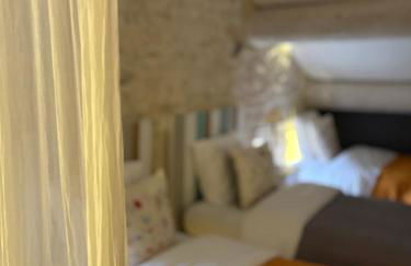 Domaine de la barbeirasse - Foto 66