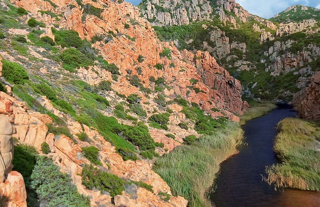 Discesa in corda nel canyon di Codula Fuili - Foto 1