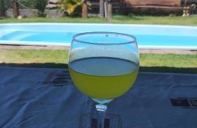 Rancho Jaguari - Foto 18