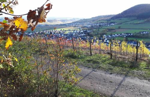 2 Weinhaus Marmann - Foto 11