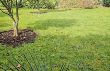 Casa do Simão - Photo 72