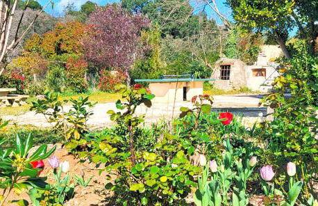 Appartement 5 personnes - Mas du Soleil - Foto 32